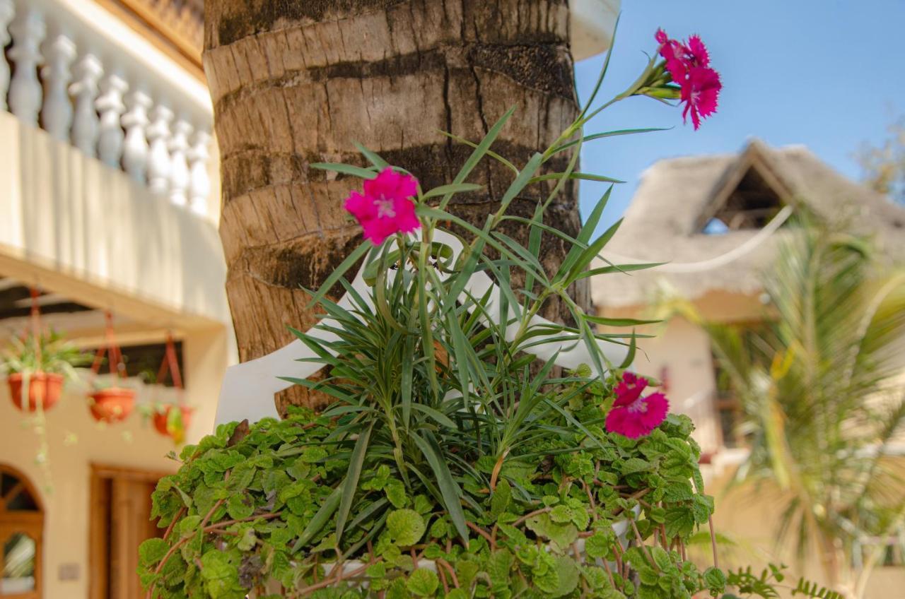 Zanpalm Boutique Hotel Michamvi Kültér fotó